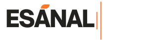 E-Sanal Mesleki
